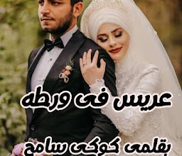 رواية عريس في ورطة كاملة